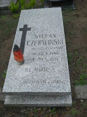 Zdjęcie grobu 38/100