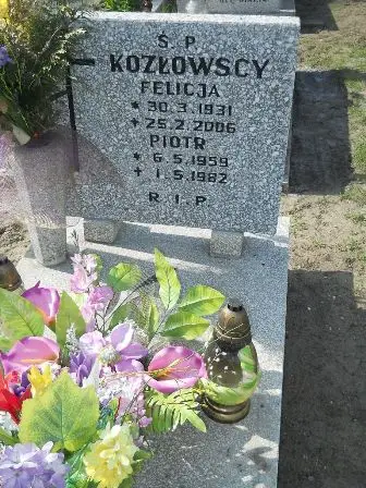 Zdjęcie grobu 20/100