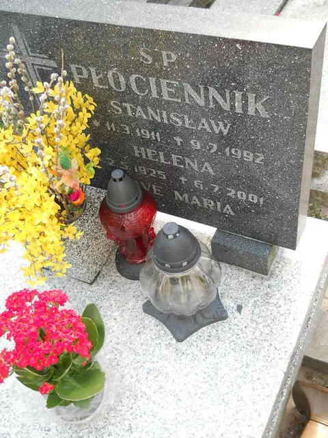 Zdjęcie grobu 8/10476
