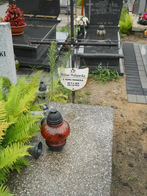 Zdjęcie grobu 5/22462