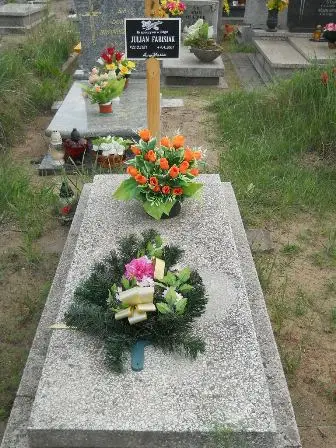 Zdjęcie grobu 42/195a
