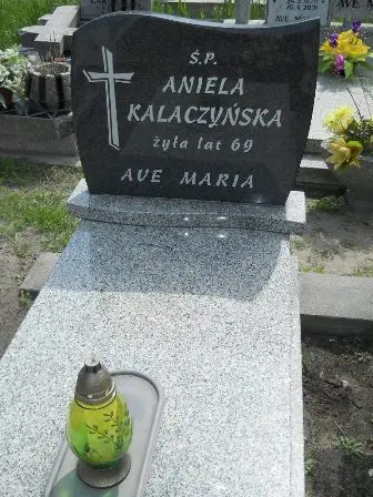 Zdjęcie grobu 25/61