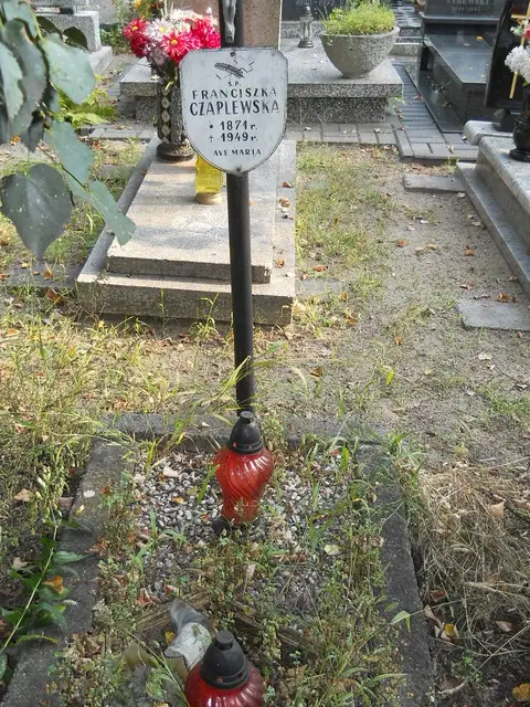 Zdjęcie grobu 15/26756