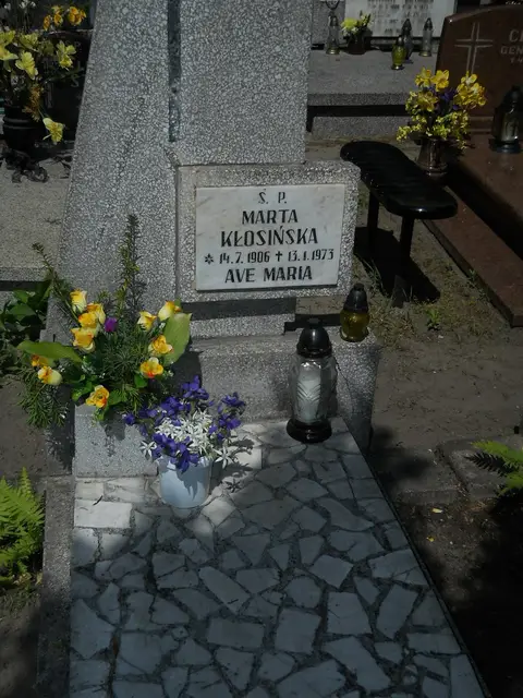 Zdjęcie grobu 8A/10236