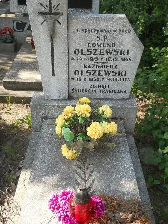 Zdjęcie grobu 24/100
