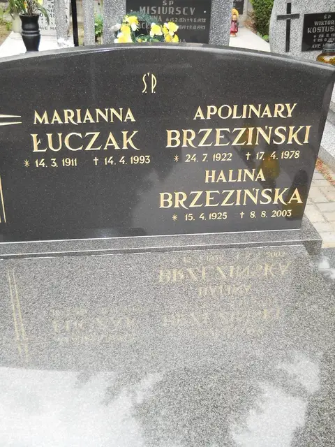Zdjęcie grobu 7/10893