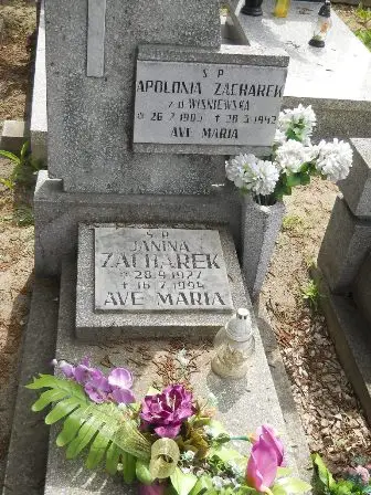 Zdjęcie grobu 25/45