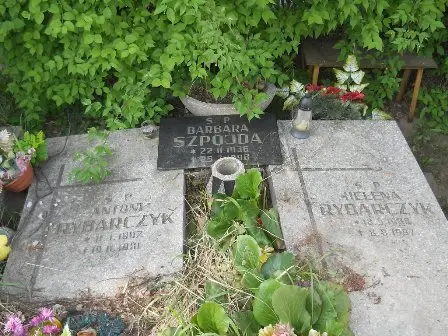 Zdjęcie grobu 20/28,29