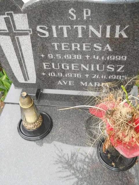 Zdjęcie grobu 24/23400