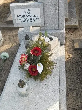 Zdjęcie grobu 100/100