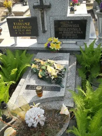 Zdjęcie grobu 42/77,78