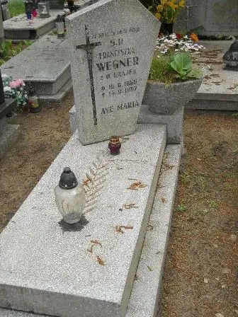 Zdjęcie grobu 33/100