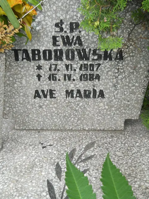 Zdjęcie grobu 24/23325