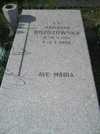 Zdjęcie grobu 20/109