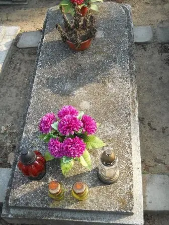 Zdjęcie grobu 9/100