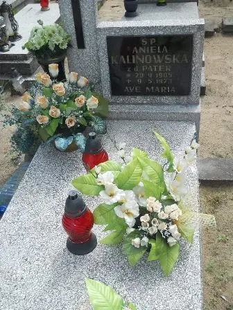 Zdjęcie grobu 41/166