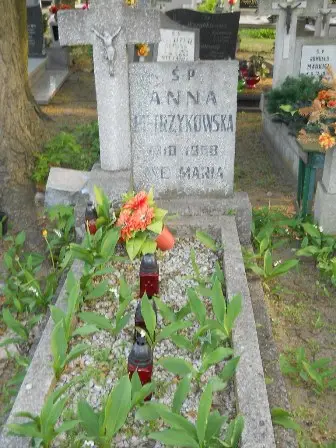 Zdjęcie grobu 37/100