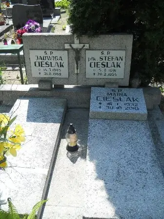 Zdjęcie grobu Krzyż./230,230a