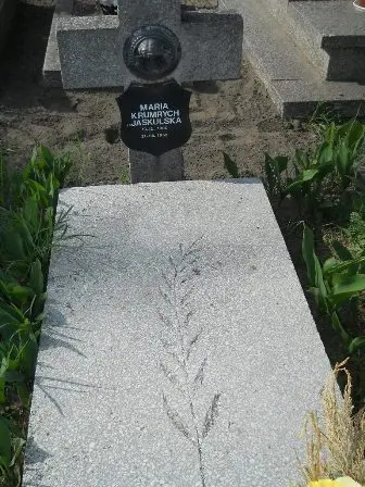 Zdjęcie grobu 20/100