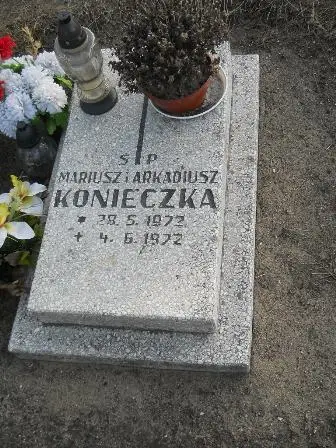 Zdjęcie grobu 100/100
