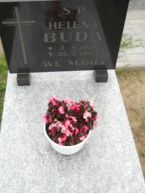 Zdjęcie grobu 26/23084