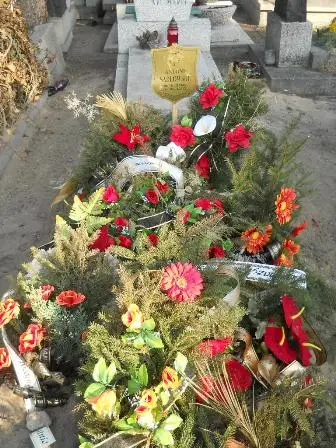 Zdjęcie grobu 4/571