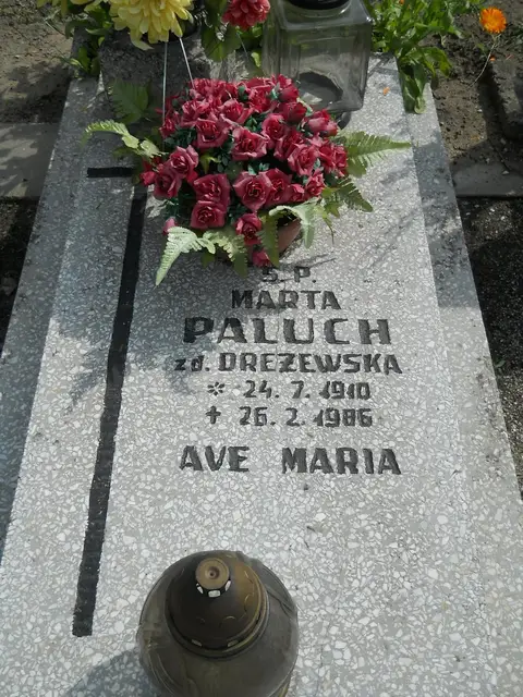 Zdjęcie grobu 26/22903