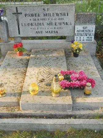 Zdjęcie grobu P/161,162