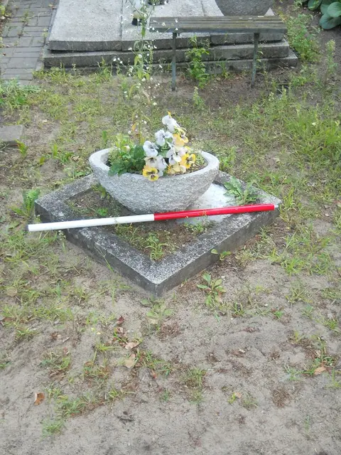 Zdjęcie grobu 15/26722