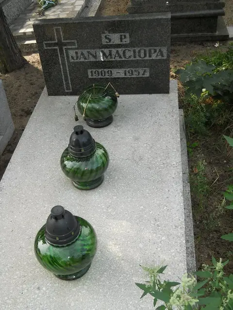 Zdjęcie grobu 11/29289