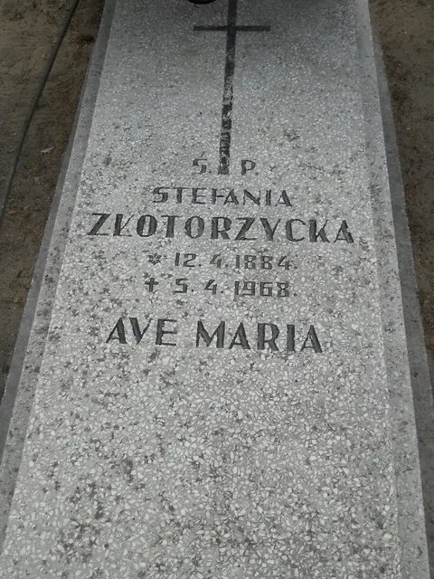 Zdjęcie grobu 8/10524