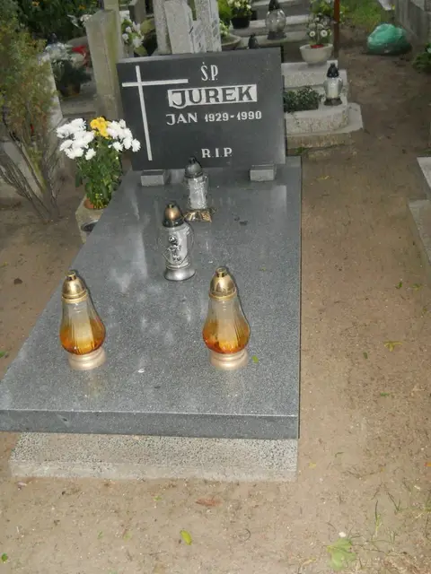 Zdjęcie grobu 20/29091