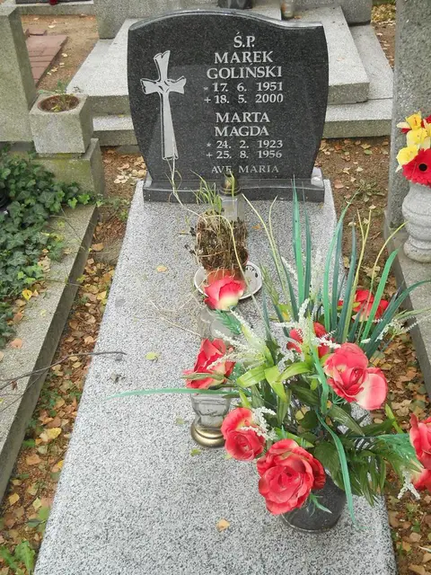 Zdjęcie grobu 16/26111