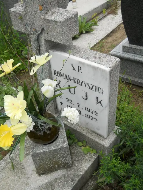 Zdjęcie grobu 21/23790