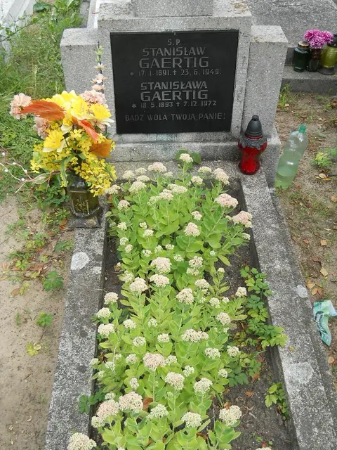 Zdjęcie grobu 9/24459