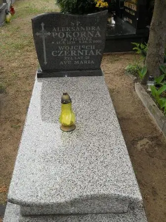Zdjęcie grobu 36/100