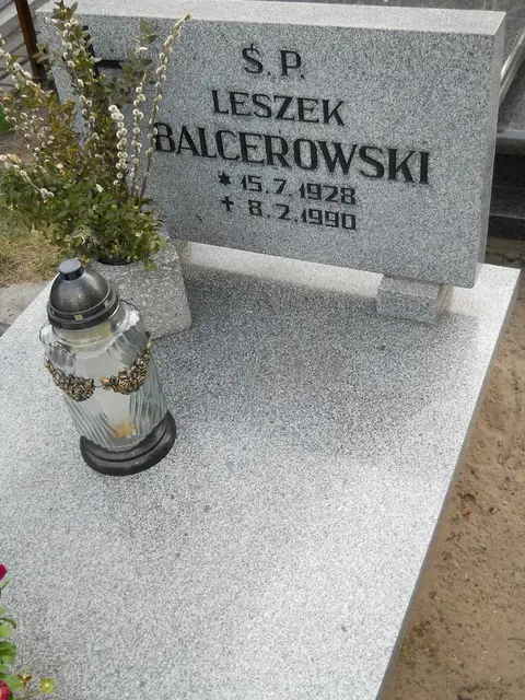 Zdjęcie grobu 8/10539