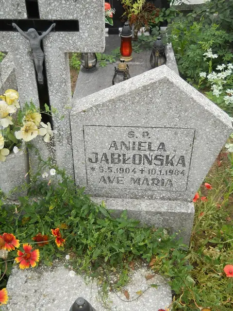 Zdjęcie grobu 22/23533