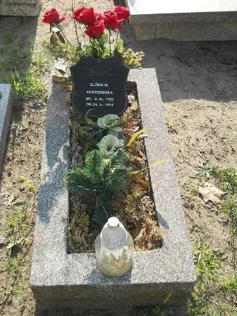 Zdjęcie grobu 7/100