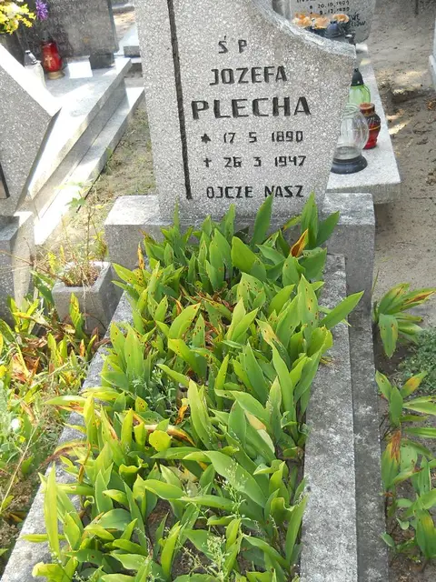 Zdjęcie grobu 14/27572