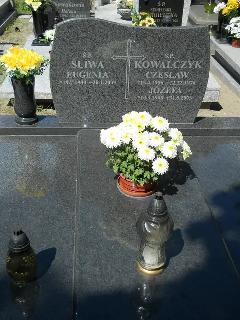 Zdjęcie grobu 8A/10271