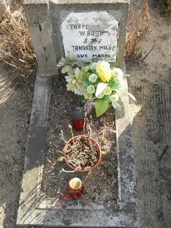 Zdjęcie grobu 100/100