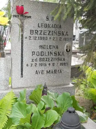 Zdjęcie grobu 23/100