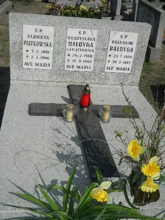 Zdjęcie grobu Główny/50,52