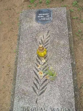 Zdjęcie grobu 36/66,67