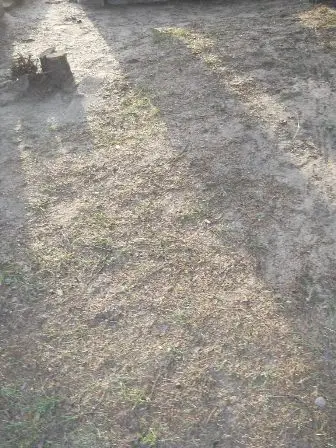 Zdjęcie grobu 10/100