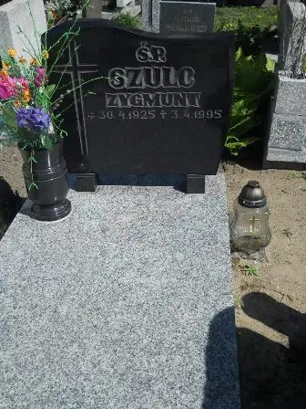 Zdjęcie grobu 46/258