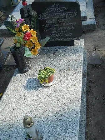 Zdjęcie grobu 9a/156