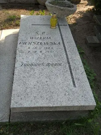 Zdjęcie grobu 28/100
