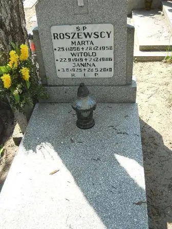 Zdjęcie grobu 30/100